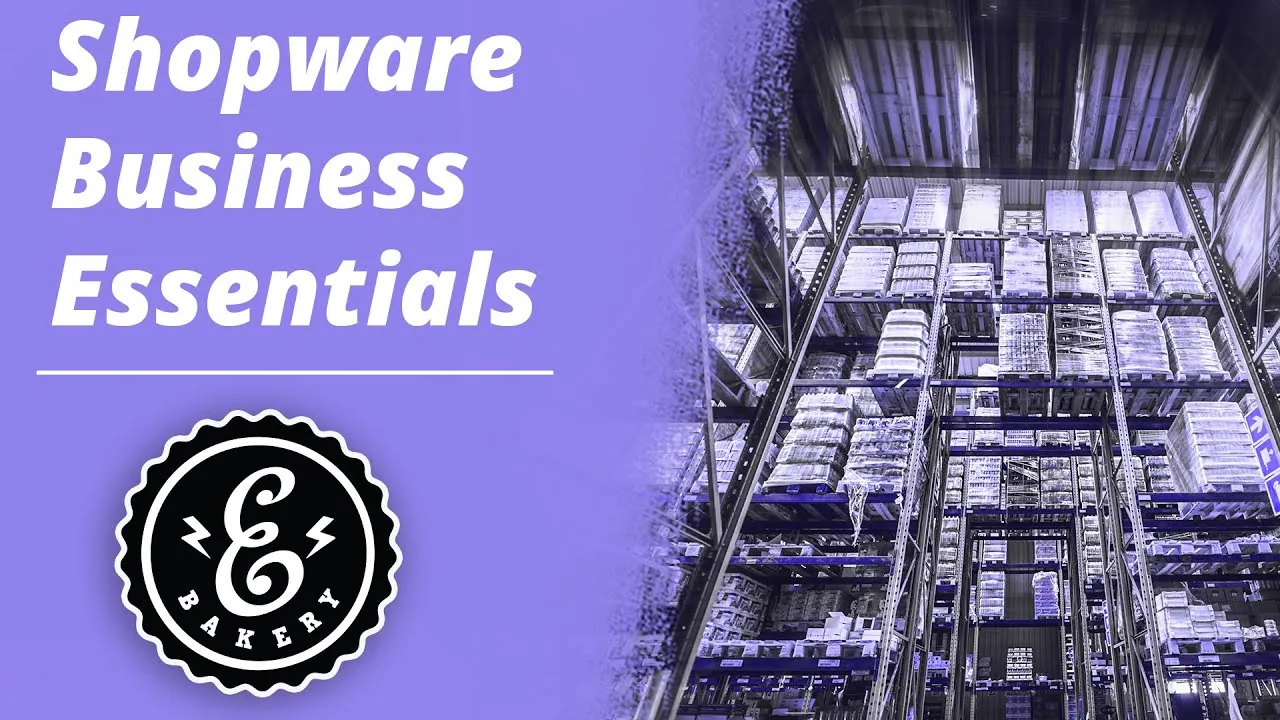 Shopware Business Essentials - B2B für deinen Shopware 5 Onlineshop | Tutorial
