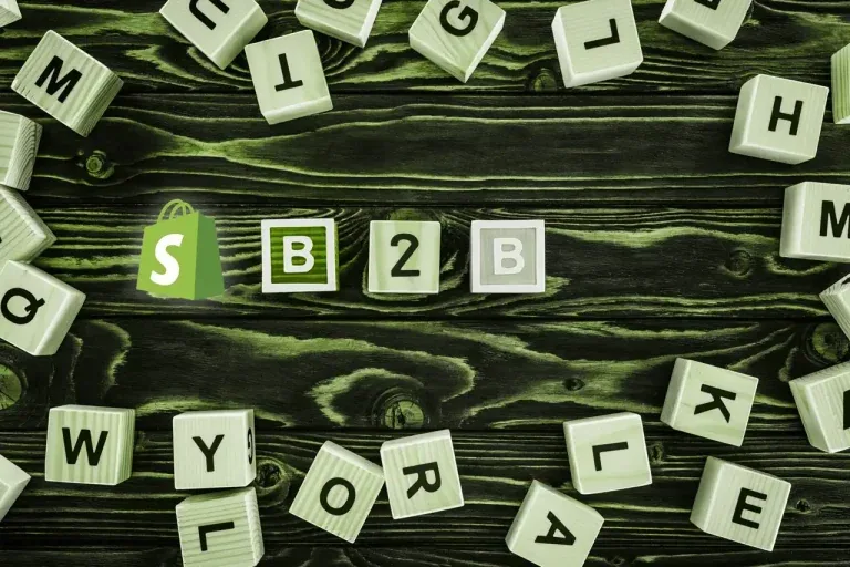 Was ist der Unterschied zwischen Shopify B2B und Shopify B2C