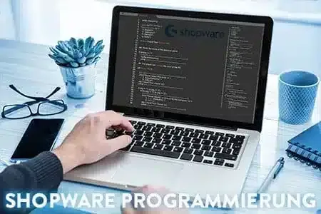 Shopware Programmierung