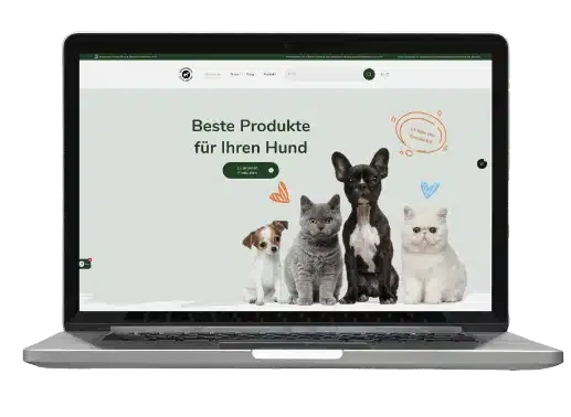 Wachstum mit uns als Shopify Agentur
