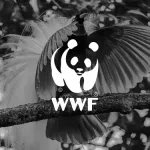 eBakery E-Commerce Referenz WWF