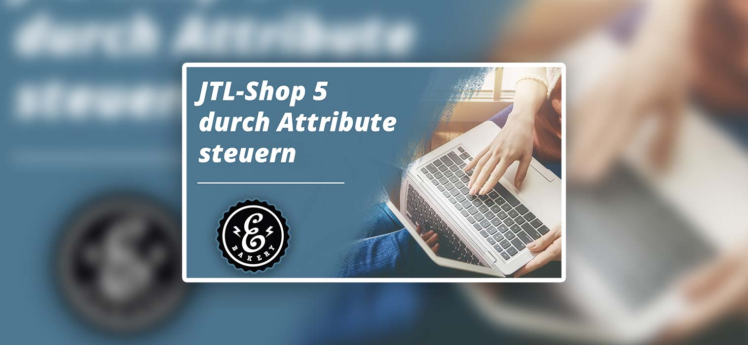 JTL-Shop 5 durch Attribute steuern – Textattribute in der Wawi
