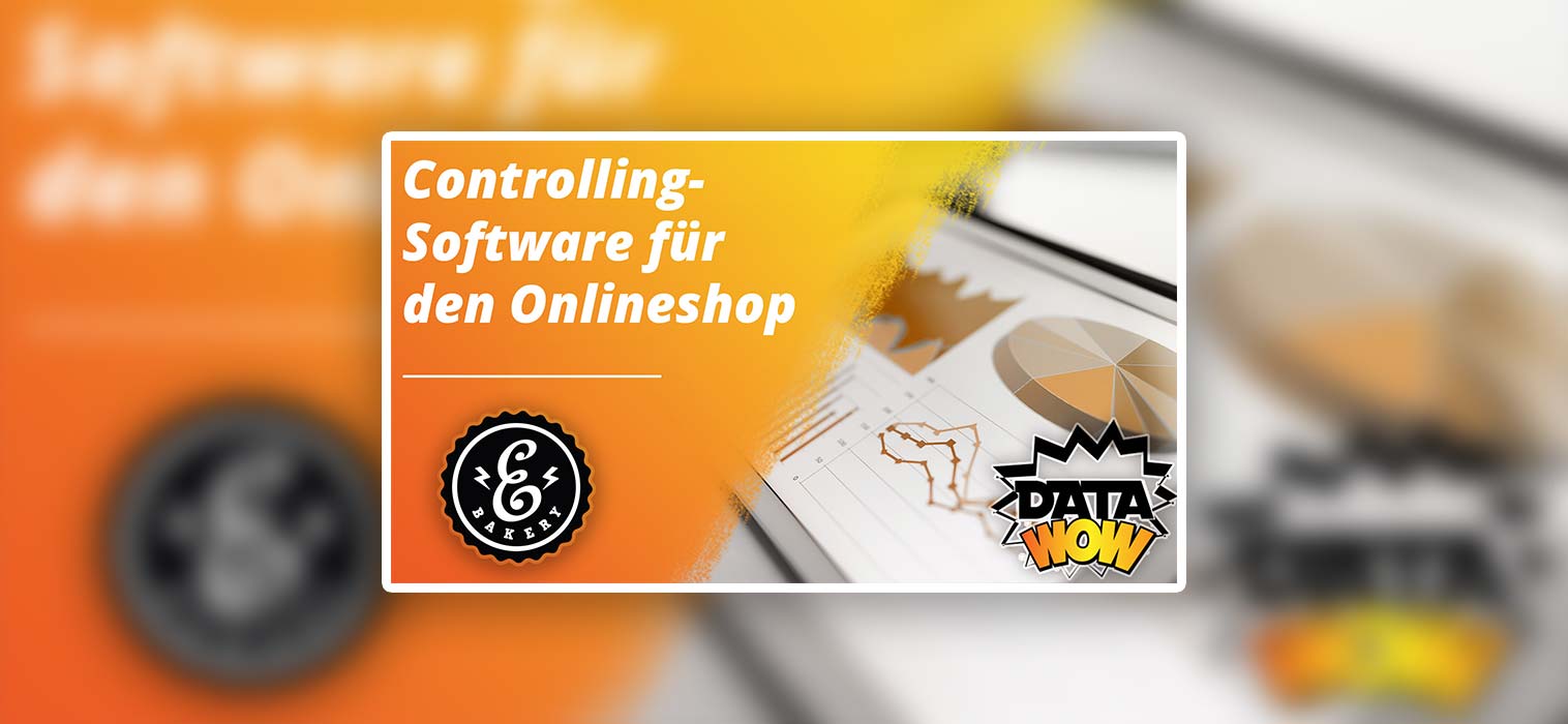 Controlling software for the online store – DataWow  [Werbung]