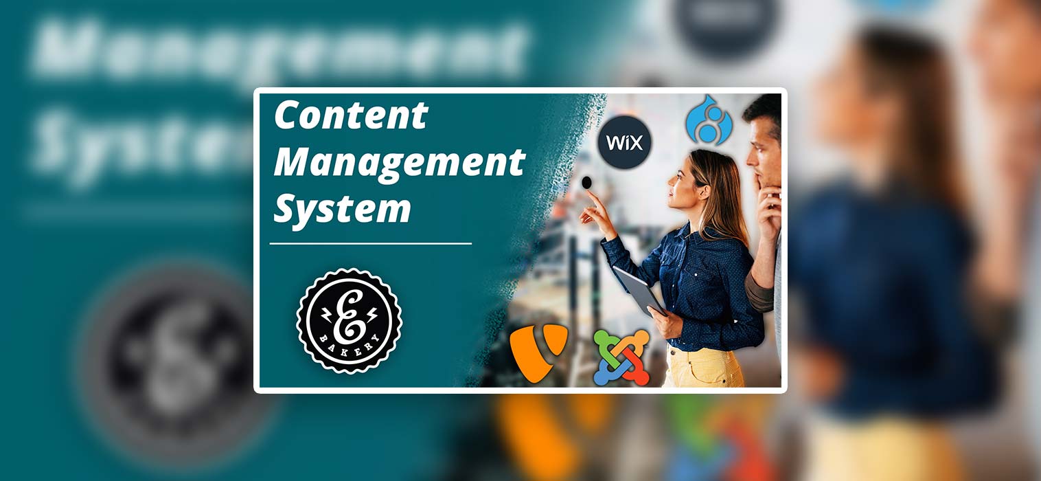 Content Management System – CMS for online merchants