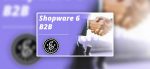 Shopware 6 B2B Suite
