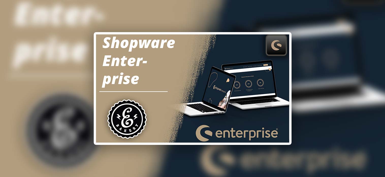 Shopware Enterprise – What distinguishes the Enteprise Edition