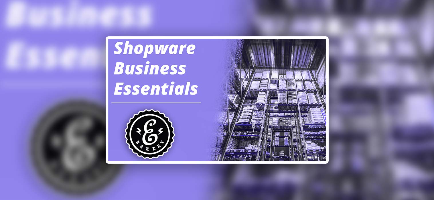 Shopware Business Essentials – B2B für den Shopware 5 Shop