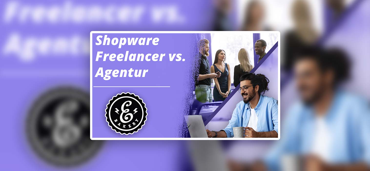 Shopware Freelancer vs. Shopware Agency – Qual é que prefere?