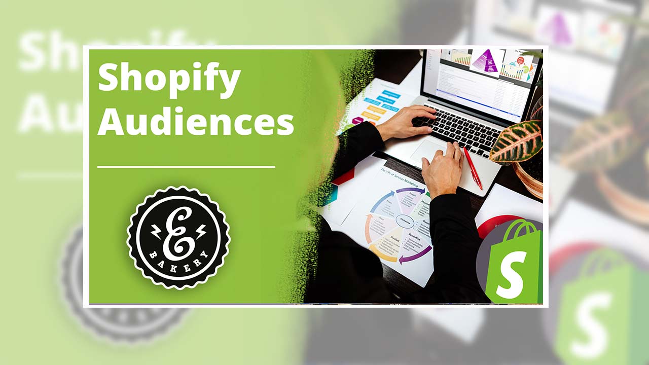 Shopify Audiences – Individuelle Custom Audience für FB Ads