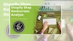Shopify Shop Analyse