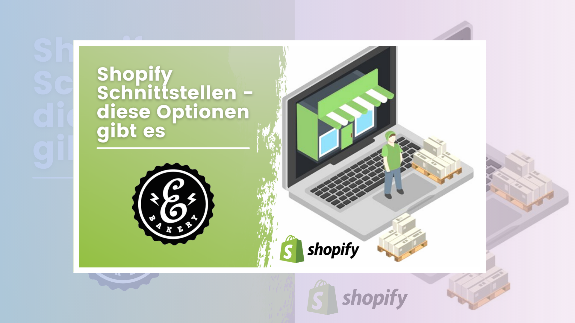 Shopify Schnittstellen – diese Optionen gibt es