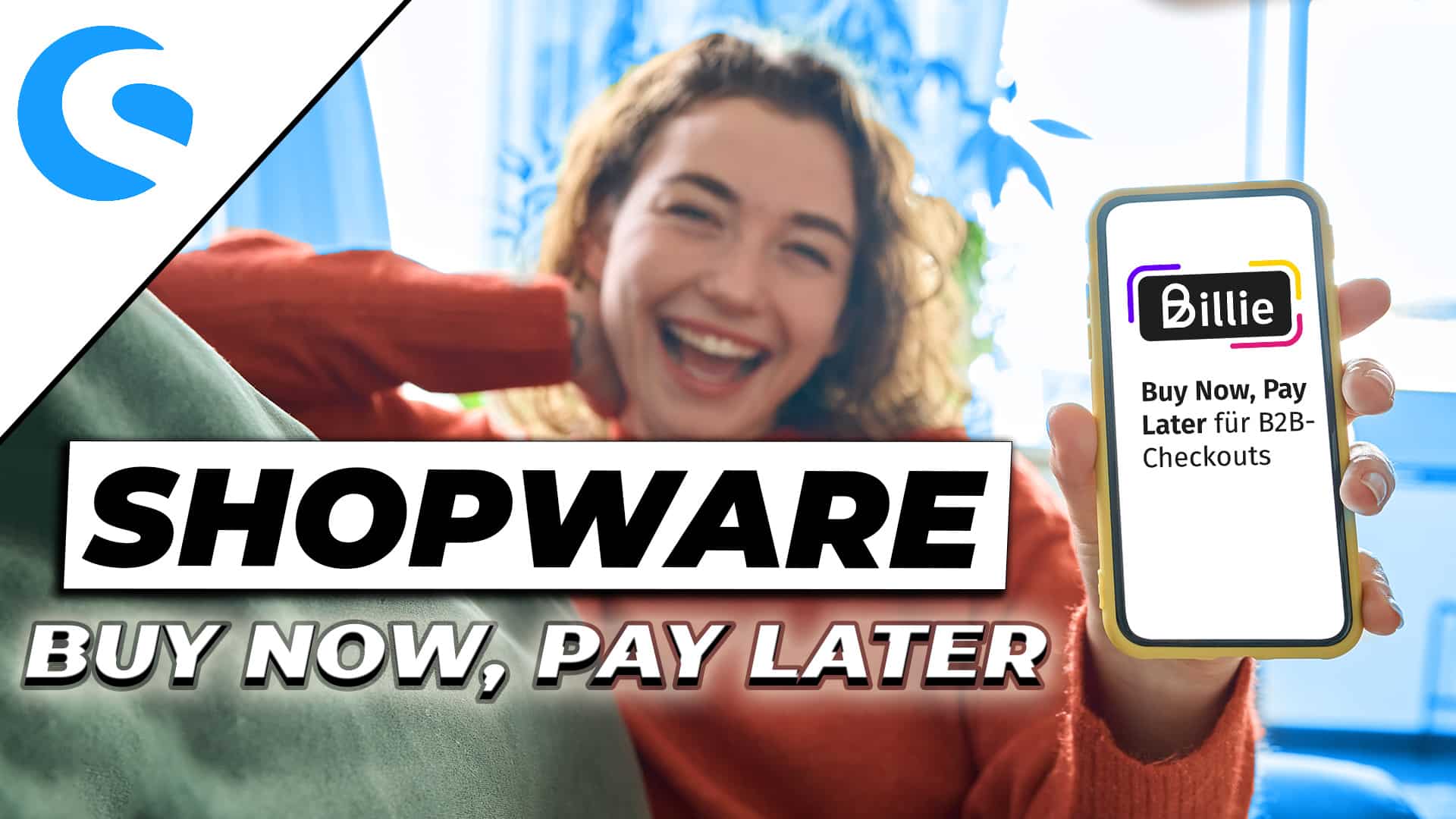 Shopware Buy Now, Pay Later B2B Solution – These are the advantages