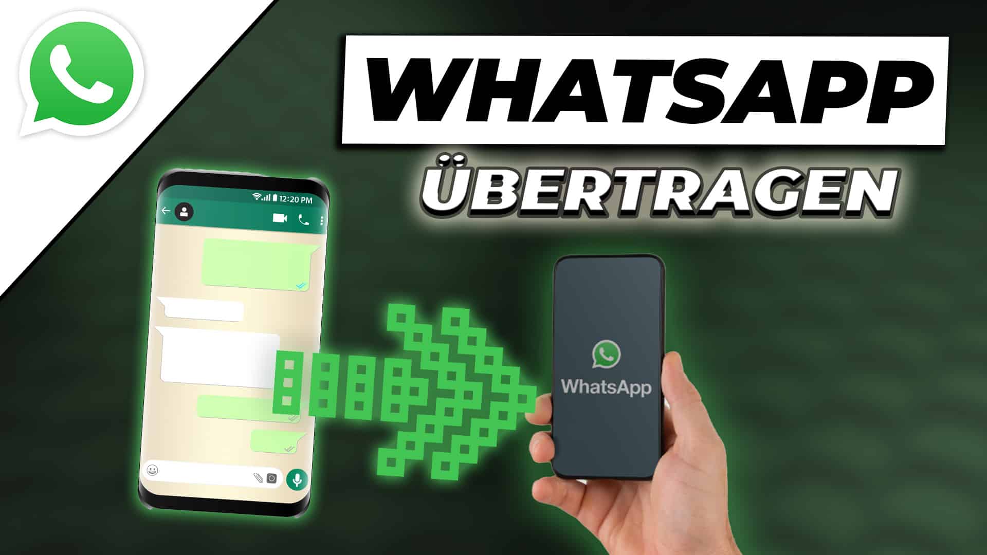 Transfer WhatsApp to a new cell phone – here’s how