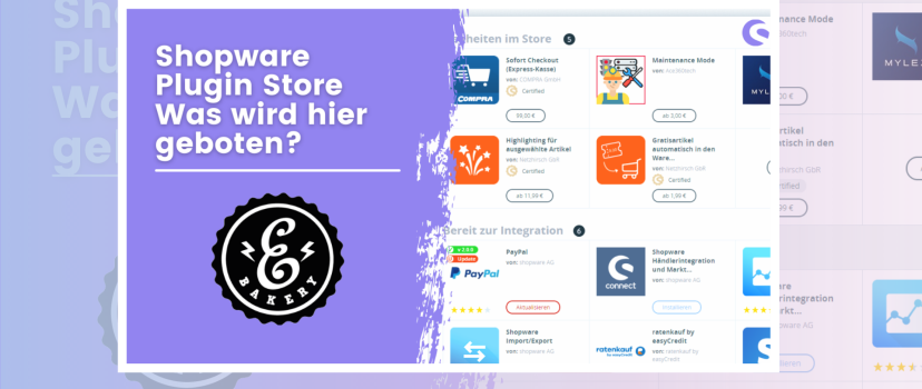 Shopware 6 Plugin Store – O que é oferecido aqui?