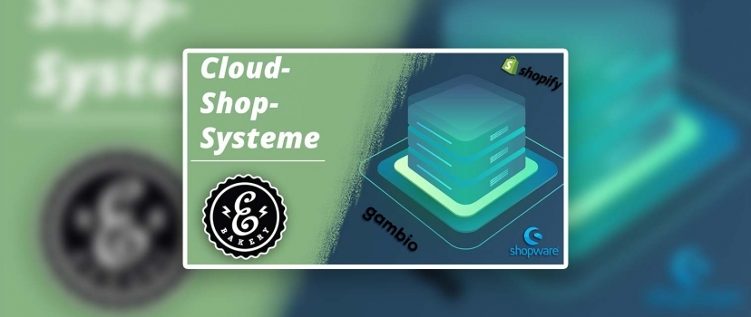 Cloud store systems in comparison