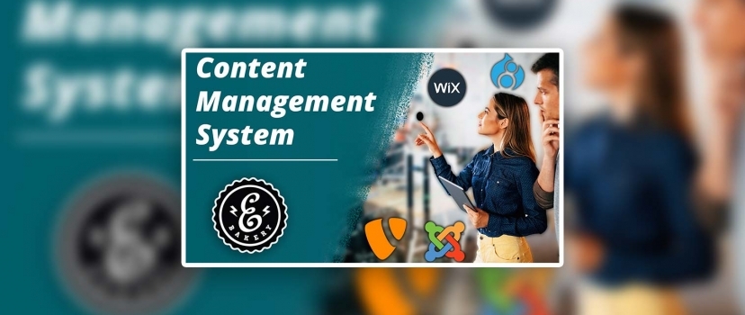 Sistema de gestão de conteúdos – CMS para retalhistas em linha
