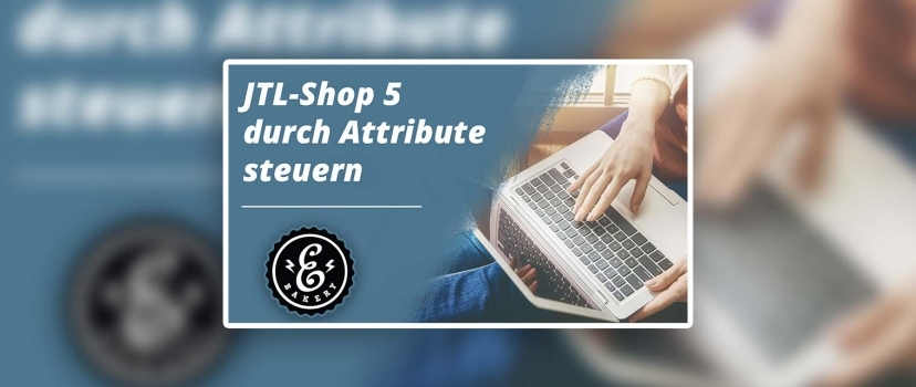 JTL-Shop 5 control by attributes – text attributes in the Wawi