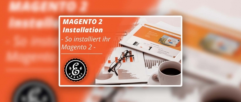 Magento 2 Installation – How to install this store system