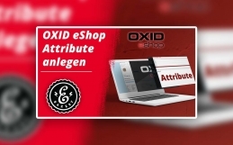 OXID eShop Attribute anlegen – So legst Du diese an