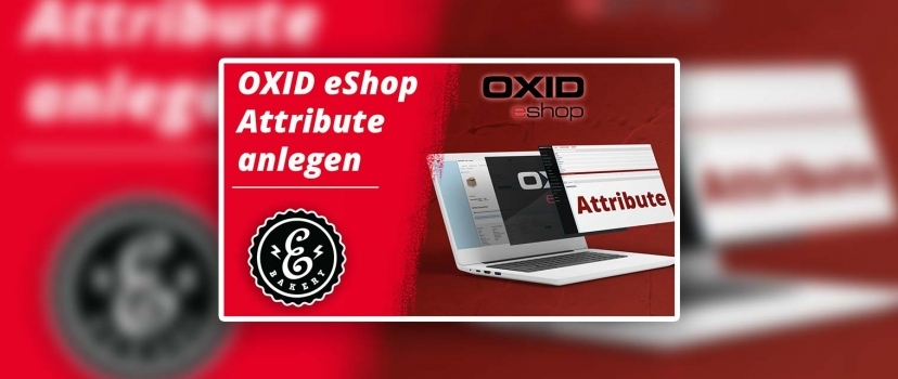 Criar atributos da OXID eShop – Como criá-los