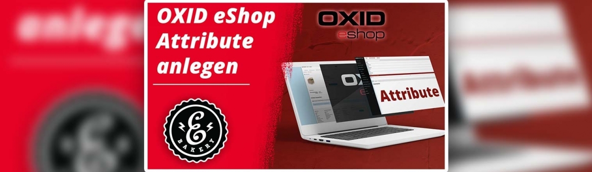 OXID eShop Attribute anlegen – So legst Du diese an