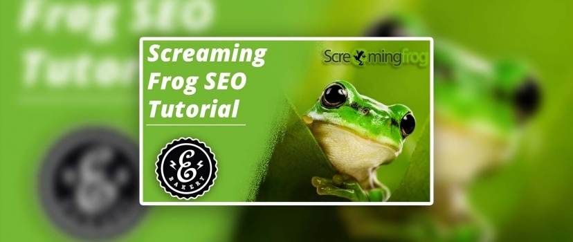 Tutorial de SEO do Screaming Frog – Ferramenta de SEO profissional
