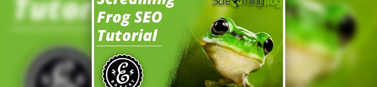 Screaming Frog SEO Tutorial – Professionelles SEO Tool