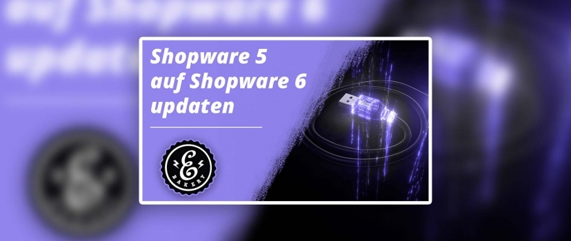 Update Shopware 5 to Shopware 6