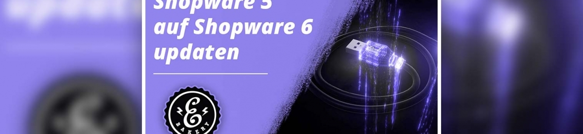 Shopware 5 auf Shopware 6 updaten