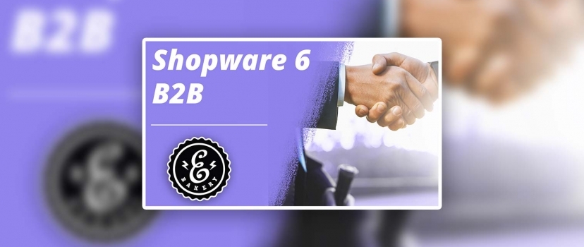 Shopware 6 B2B Suite – The solution for your B2B online store