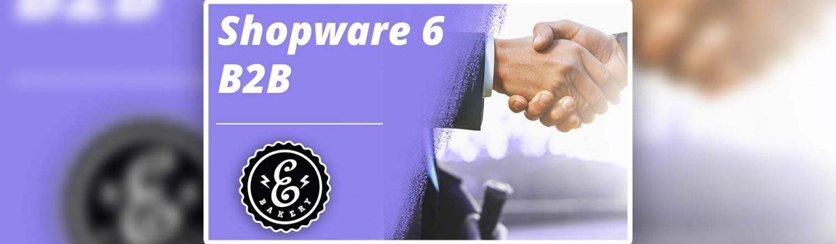 Shopware 6 B2B Suite – Die Lösung für Deinen B2B Onlineshop
