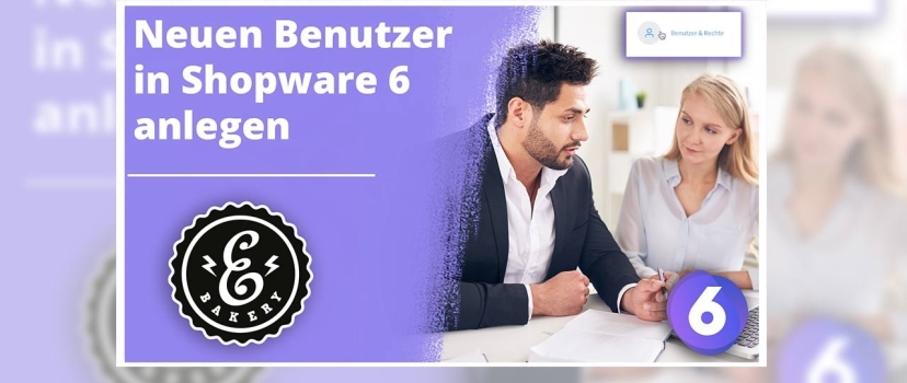 Shopware 6 user and role management