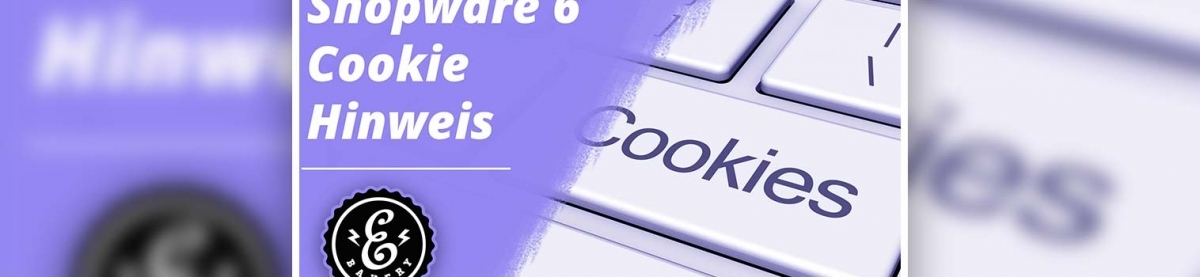Shopware 6 Cookie Hinweis – EUgH-Urteil für Shopware 6 umsetzen
