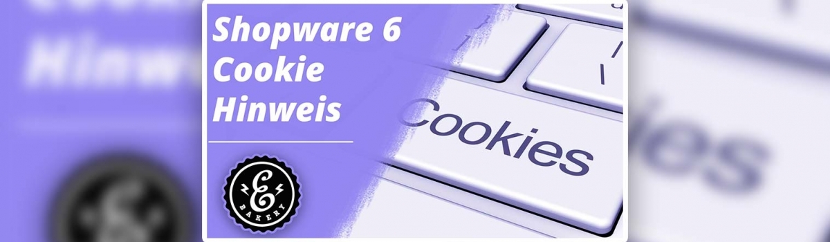Shopware 6 Cookie Hinweis – EUgH-Urteil für Shopware 6 umsetzen
