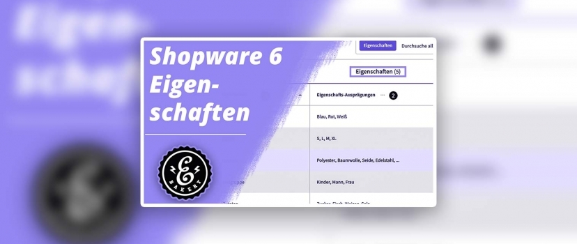 Shopware 6 Features – Filterable Product Information