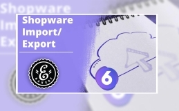 Shopware 6 Import/Export Modul – So im- exportiert Ihr Daten