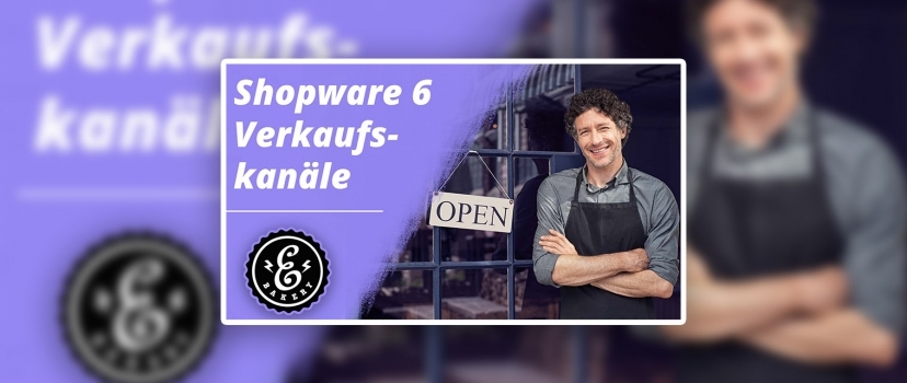 Shopware 6 Sales Channels – What are the sales channels?