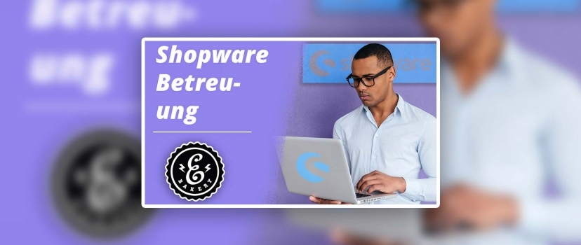 Shopware support from eBakery – We maintain your store