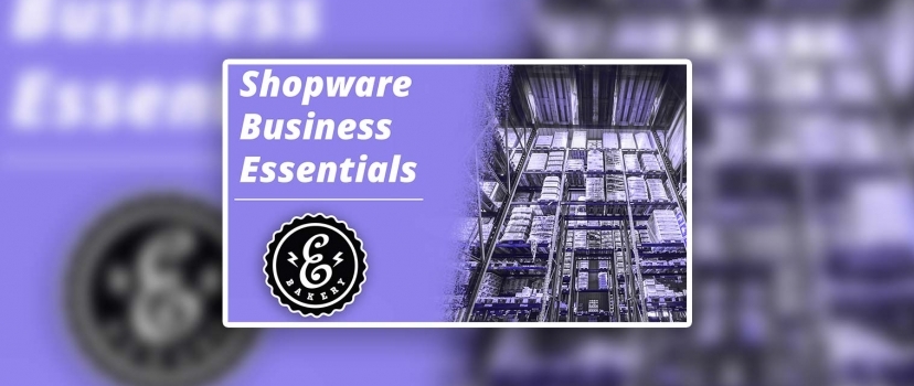 Shopware Business Essentials – B2B para a loja Shopware 5