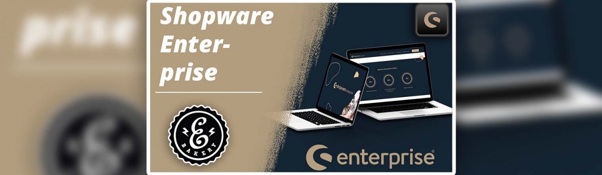 Shopware Enterprise – Was unterscheidet die Enteprise Edition