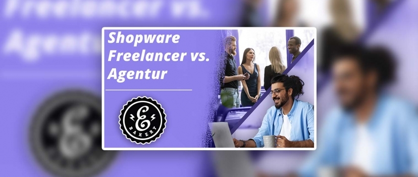 Shopware Freelancer vs. Shopware Agency – Qual é que prefere?