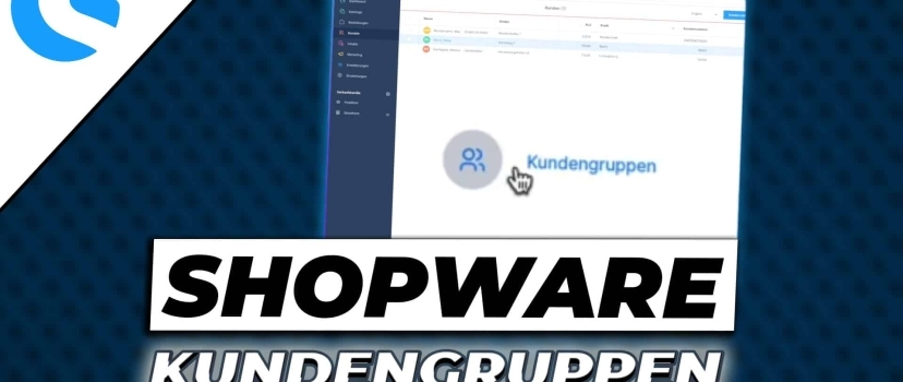 Manage Shopware customer groups – how it works