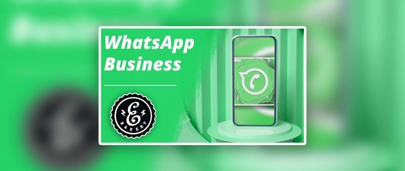 WhatsApp Business – Como utilizar a aplicação de mensagens