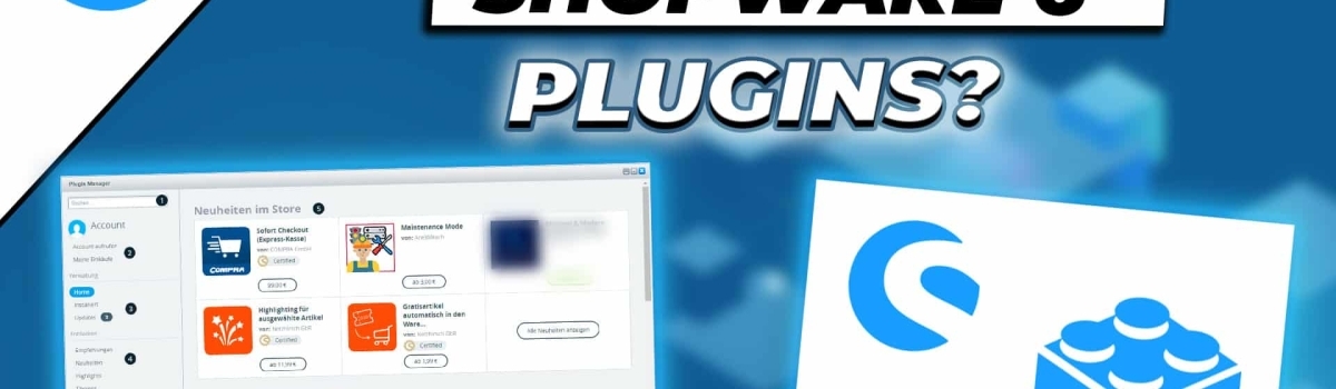 Wie installiere ich Plugins in Shopware 6?